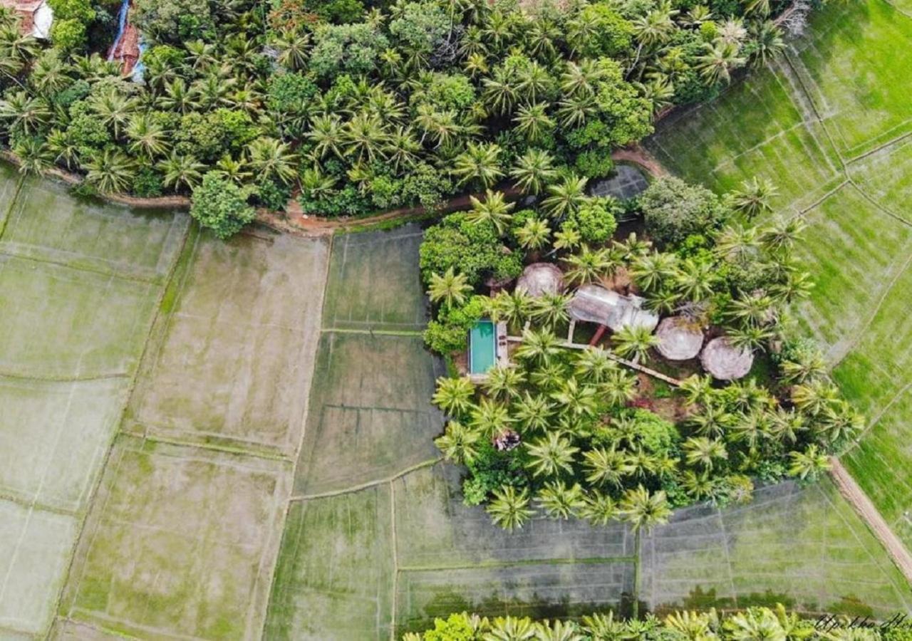Rice Rice Villas Tissamaharama Exterior foto