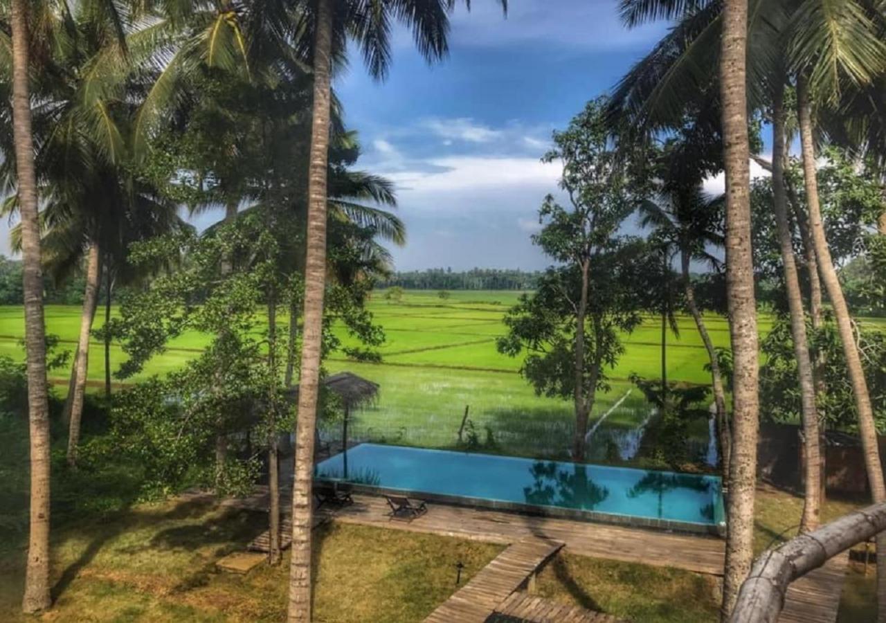 Rice Rice Villas Tissamaharama Exterior foto