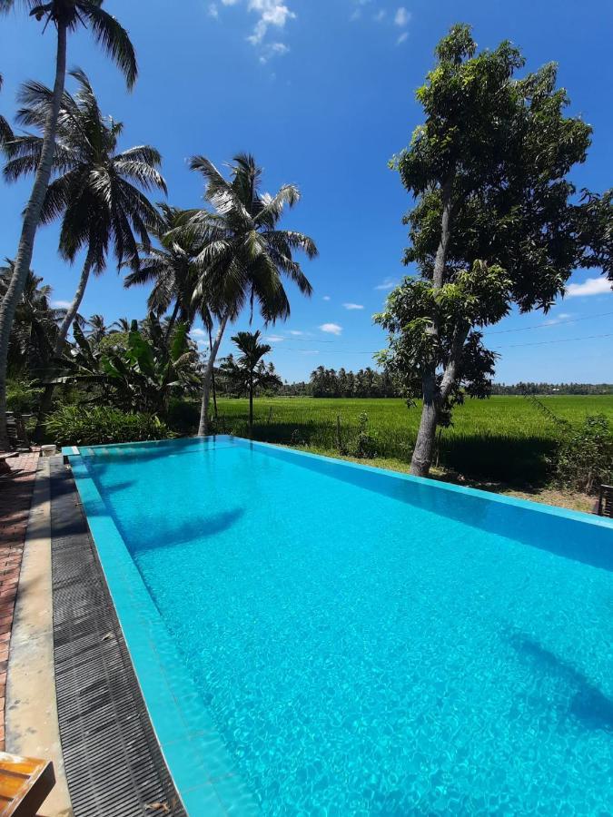 Rice Rice Villas Tissamaharama Exterior foto
