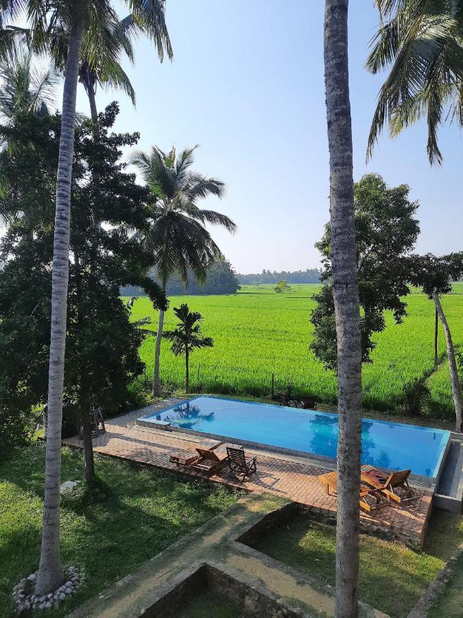 Rice Rice Villas Tissamaharama Exterior foto