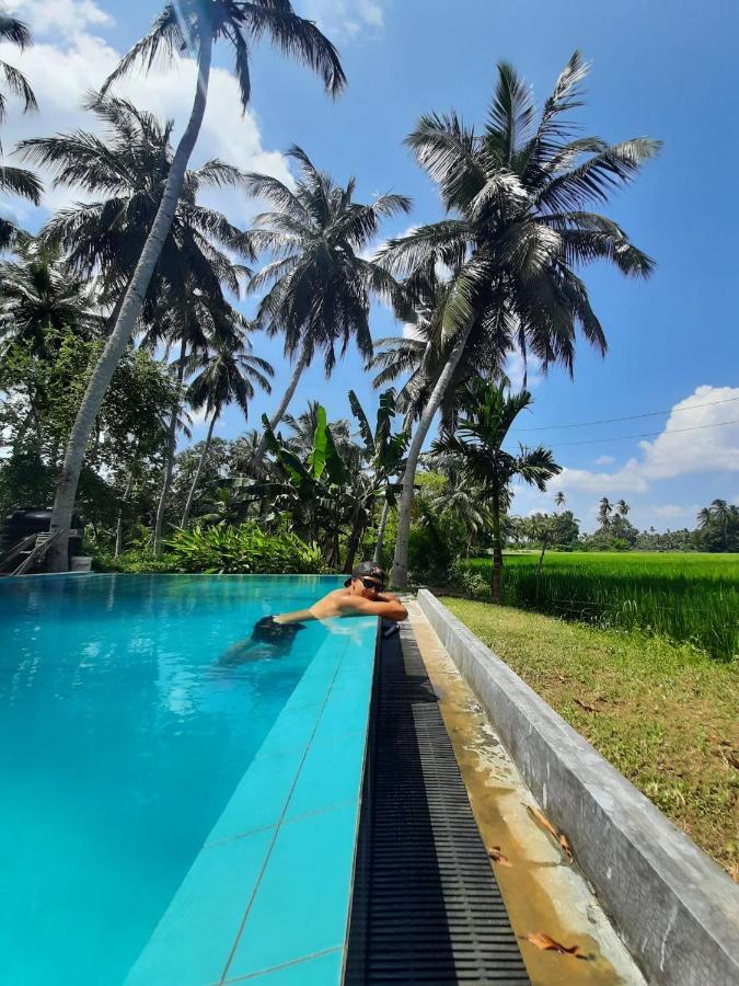Rice Rice Villas Tissamaharama Exterior foto