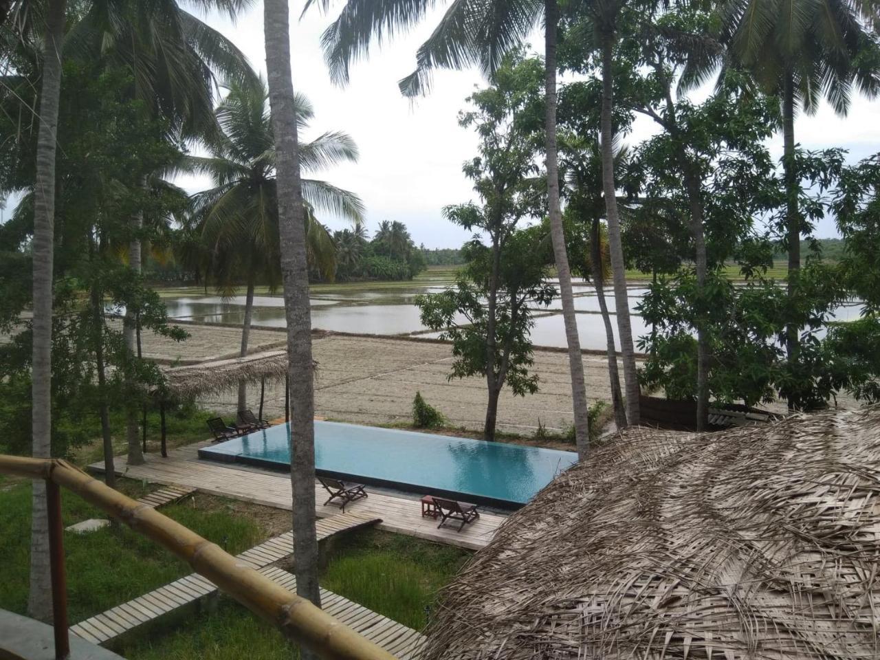 Rice Rice Villas Tissamaharama Exterior foto