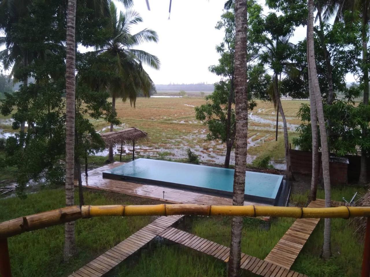 Rice Rice Villas Tissamaharama Exterior foto